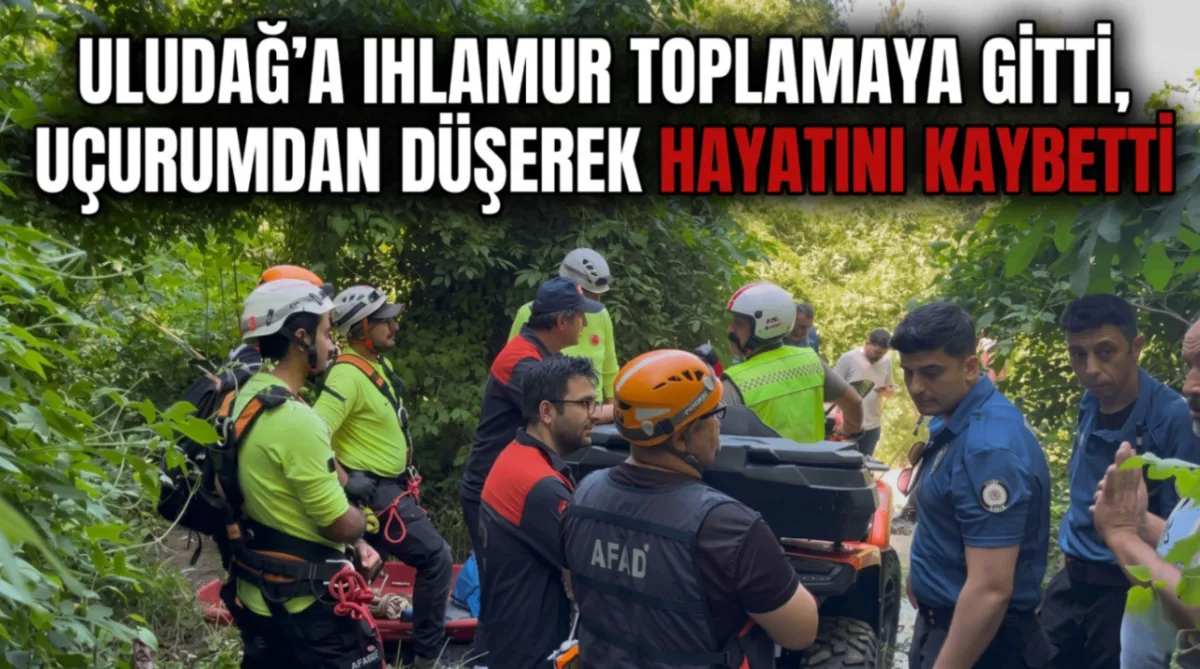 Uludağ'a ıhlamur toplamaya gitti, uçurumdan düşerek hayatını kaybetti