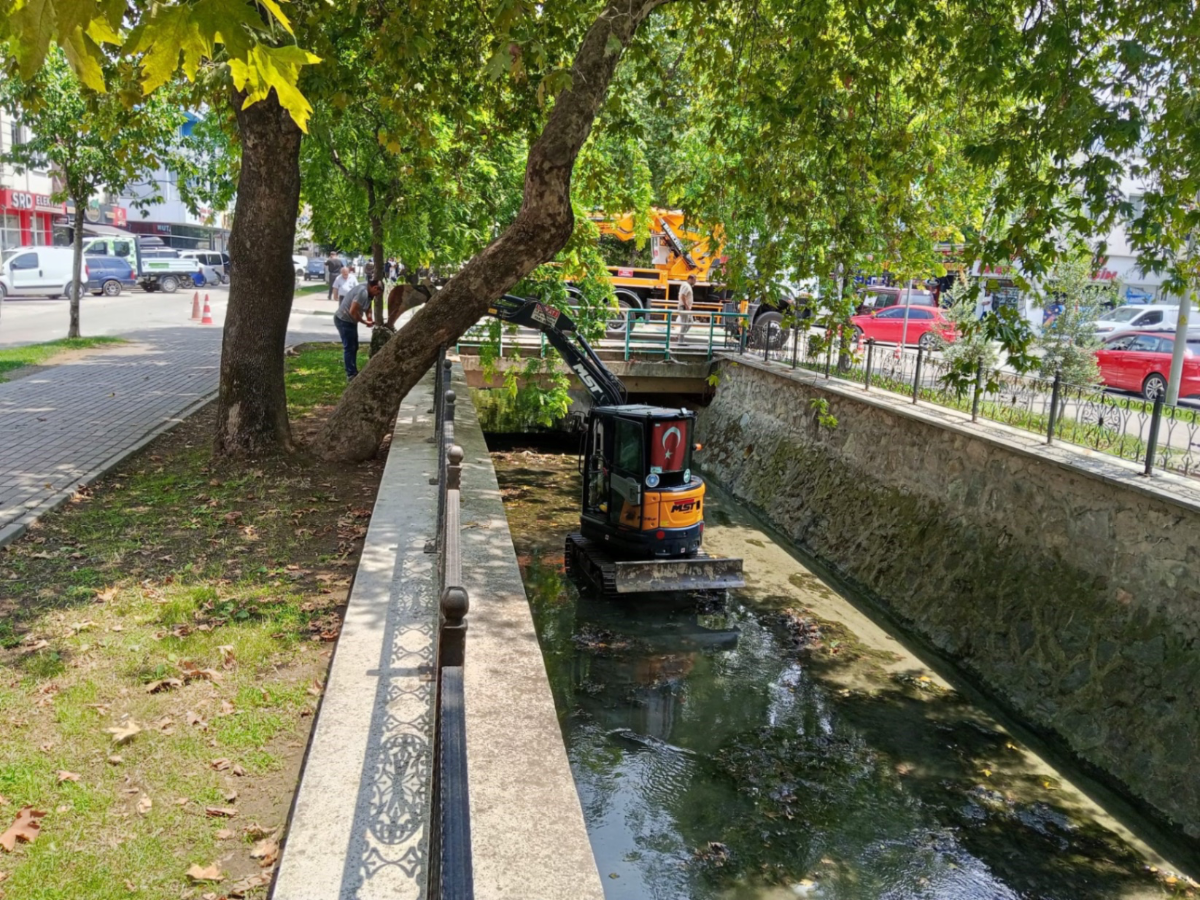 Gemlik'te çevre için dere temizliği