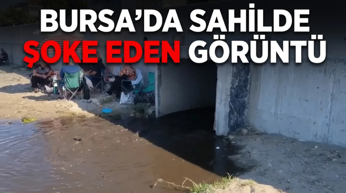 Bursa'da sahilde şoke eden görüntü