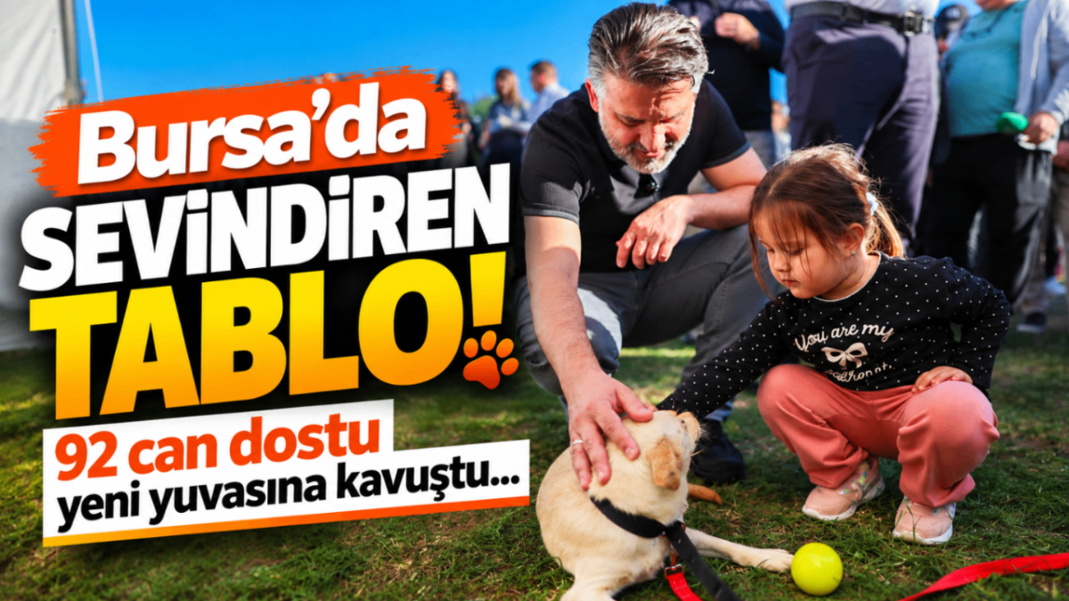 Bursa’da sevindiren tablo! 92 can dostu yeni yuvasına kavuştu...