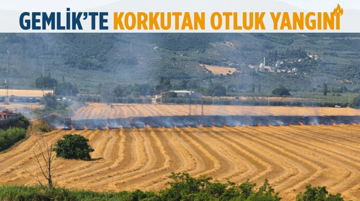 Gemlik'te korkutan otluk yangını