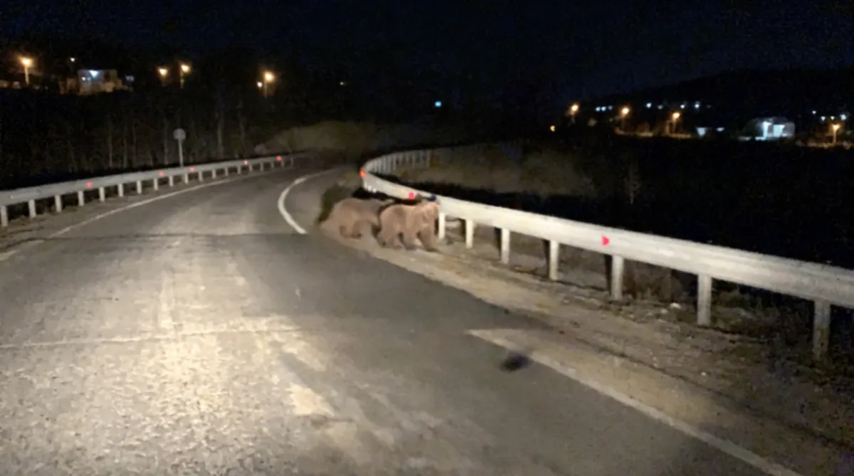Bursa'da gece sürprizi