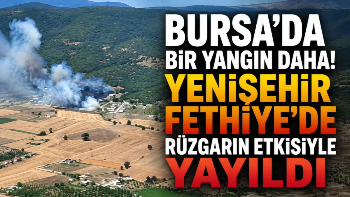 Bursa'da bir yangın daha! Yenişehir Fethiye'de rüzgarın etkisiyle yayıldı