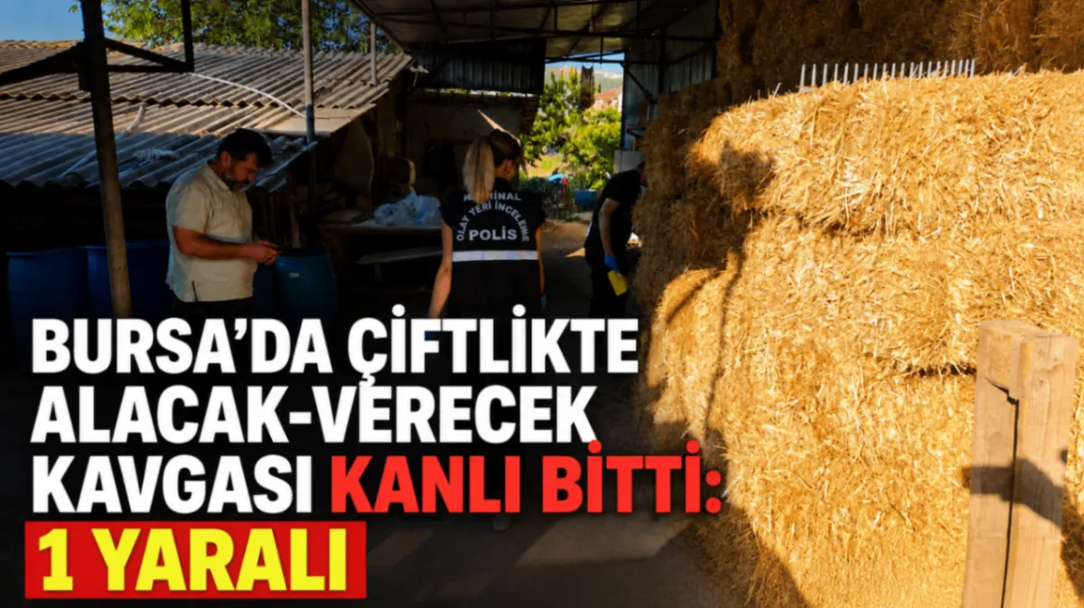 Bursa’da çiftlikte alacak-verecek kavgası kanlı bitti: 1 yaralı