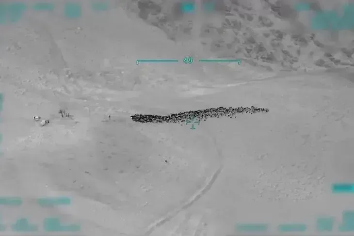 Çobanları silahla tehdit edip 800 küçükbaş hayvanı yağmaladılar
