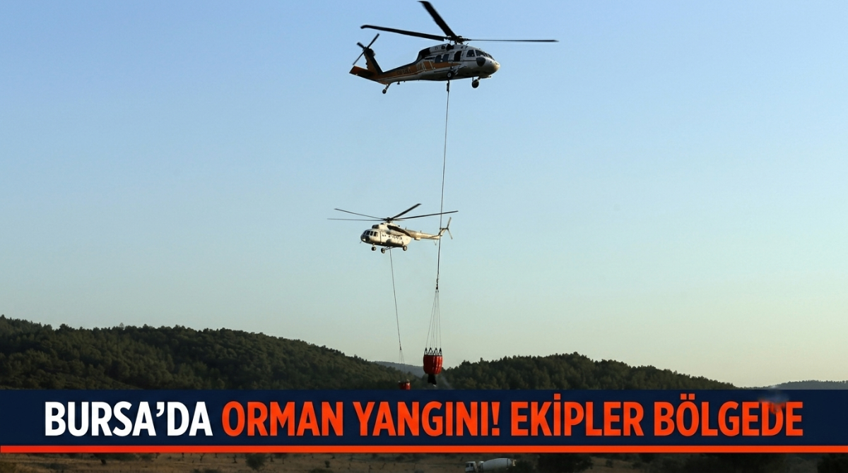 Bursa'da orman yangını! ekipler bölgede