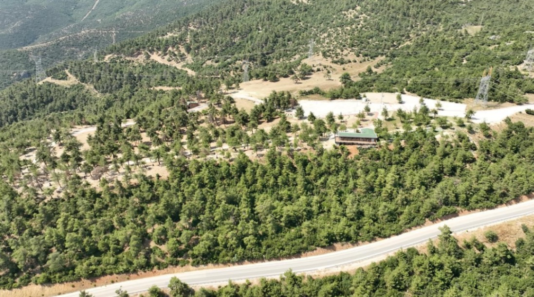 Yangında kül olmuştu! Kule Orman Park yeniden açılıyor...