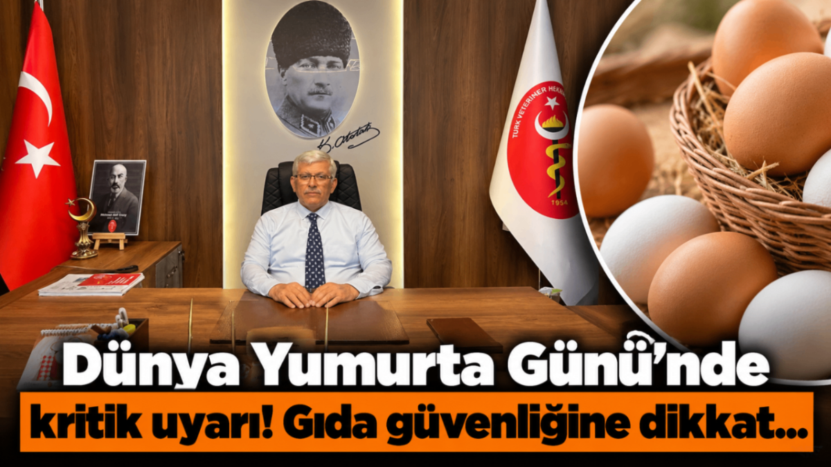 Dünya Yumurta Günü'nde kritik uyarı! Gıda güvenliğine dikkat...