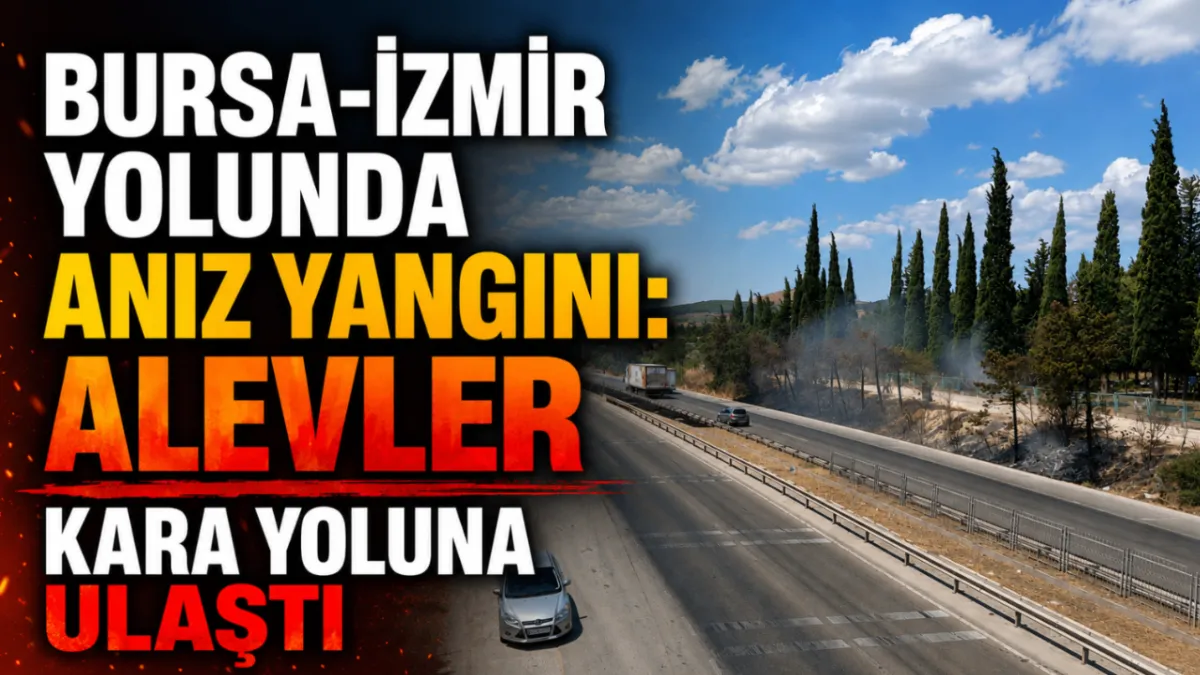 Bursa-İzmir yolunda anız yangını: Alevler kara yoluna ulaştı