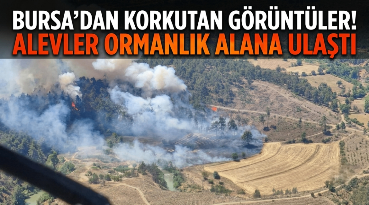 Bursa'dan korkutan görüntüler! alevler ormanlık alana ulaştı