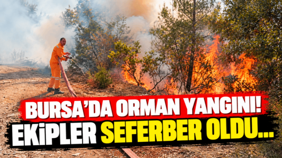 Bursa’da orman yangını! Ekipler seferber oldu…