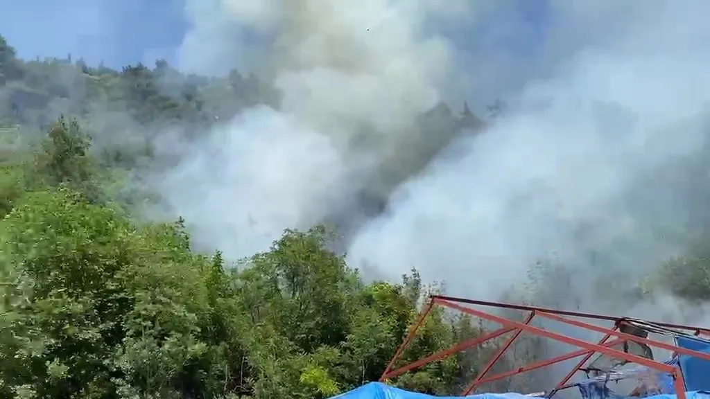 Bursa’da ormanlık alanda yangın