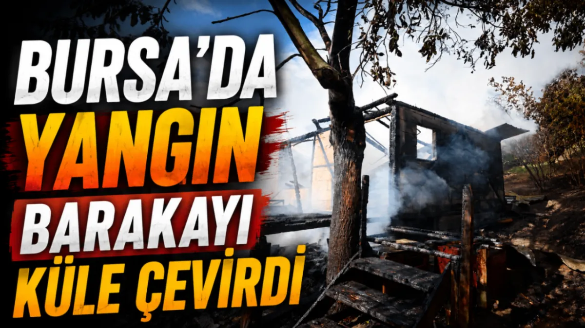 Bursa’da yangın barakayı küle çevirdi