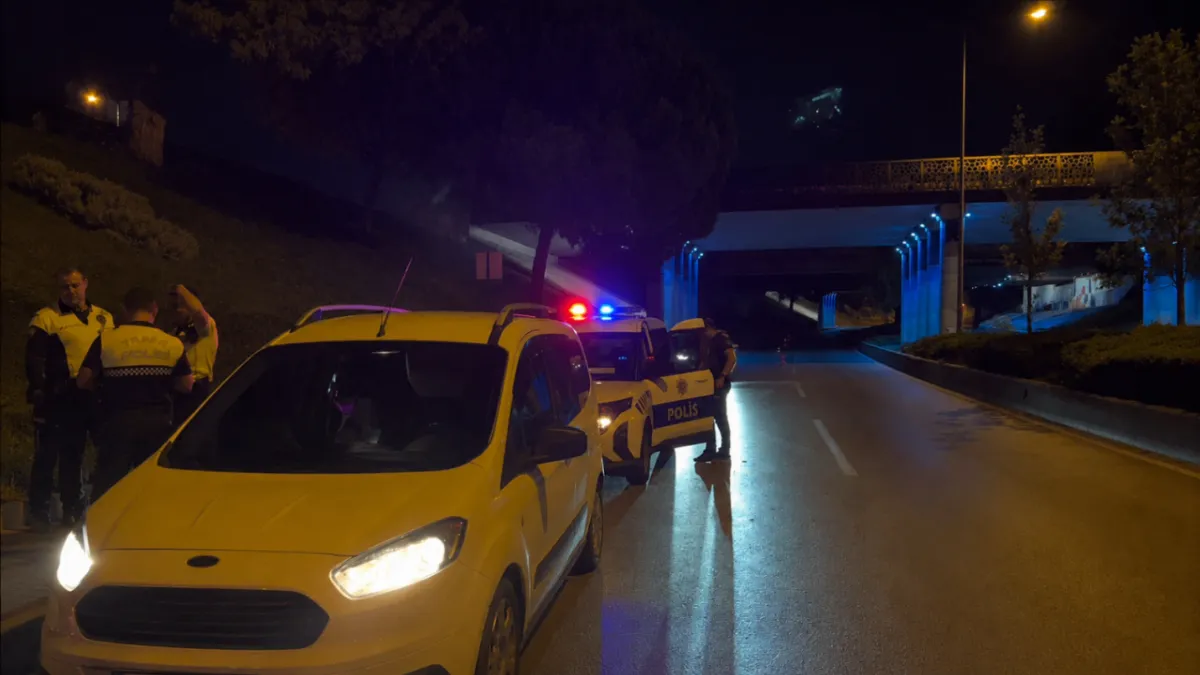 Kardeş kavgası babayı yola, polisi sokağa döktü