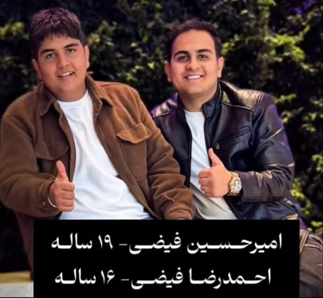 امیرحسین فیضی