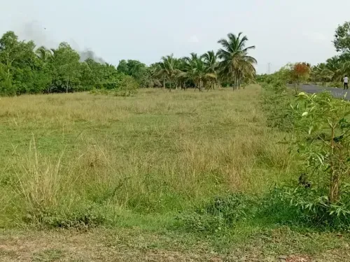 Plots for Sale in Mullipakkam & Thiruporur, Chennai
