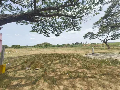 Plots for Sale in Vallam Near Chengalpattu