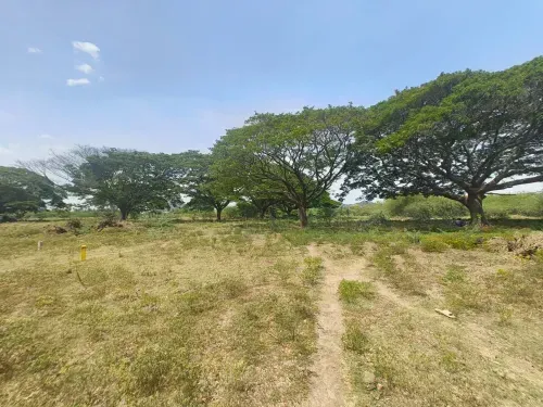 Buy Plots in Vallam Near Chengalpattu, Chennai