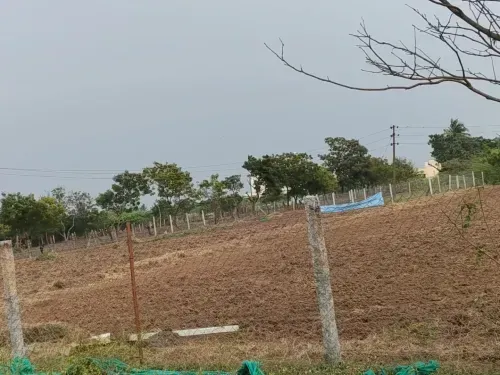DTCP Approved Plot Near VIT Chennai Vandalur Kelambakkam Road