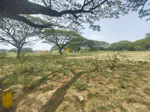 Plots for Sale in Chengalpattu, Chennai