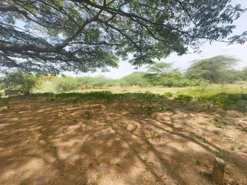 Plots Near Singaperumal Koil
