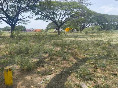 Premium Plots for Sale in Chengalpattu
