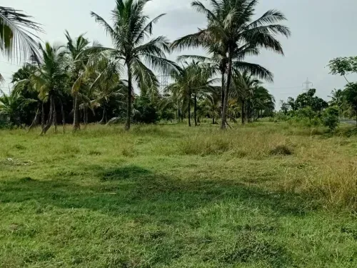 Premium Plots for Sale in Mullipakkam