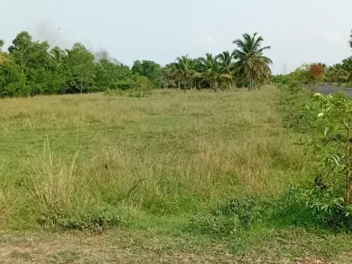 Gated Community Plots in Mullipakkam