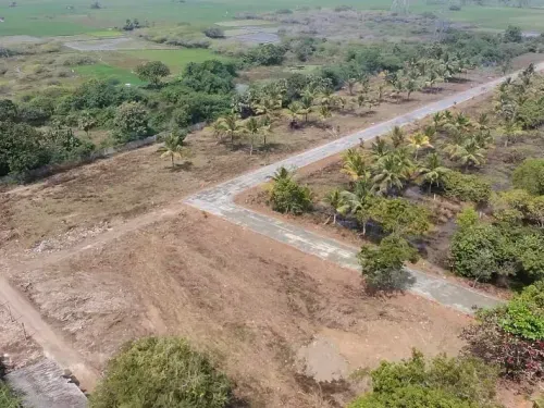 Ready to Build Plots in Mullipakkam
