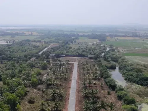 Patta Plots for Sale in Mullipakkam