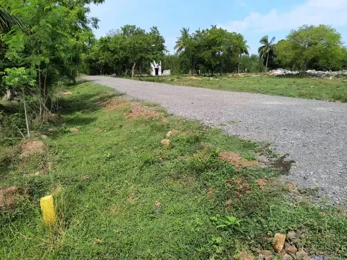 Corner Plots for Sale in Mullipakkam
