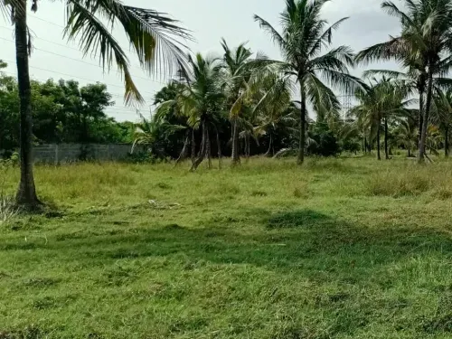 Best Plots for Sale in Mullipakkam