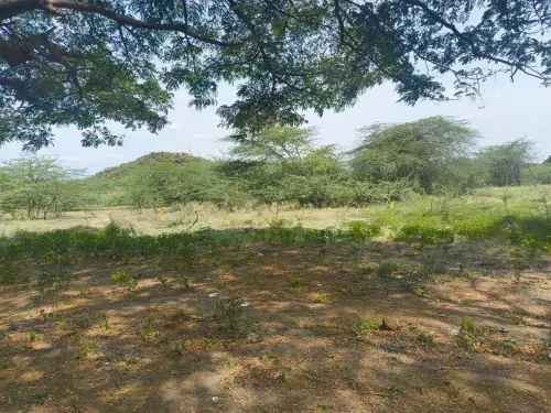 Plots Near Mahindra World City