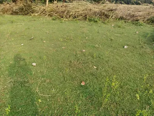 Buy Land in Melakottaiyur Chennai, Chennai image 4