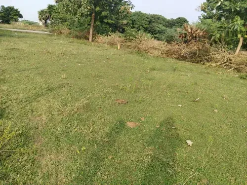 Buy Residential Plot in Melakottaiyur, Chennai