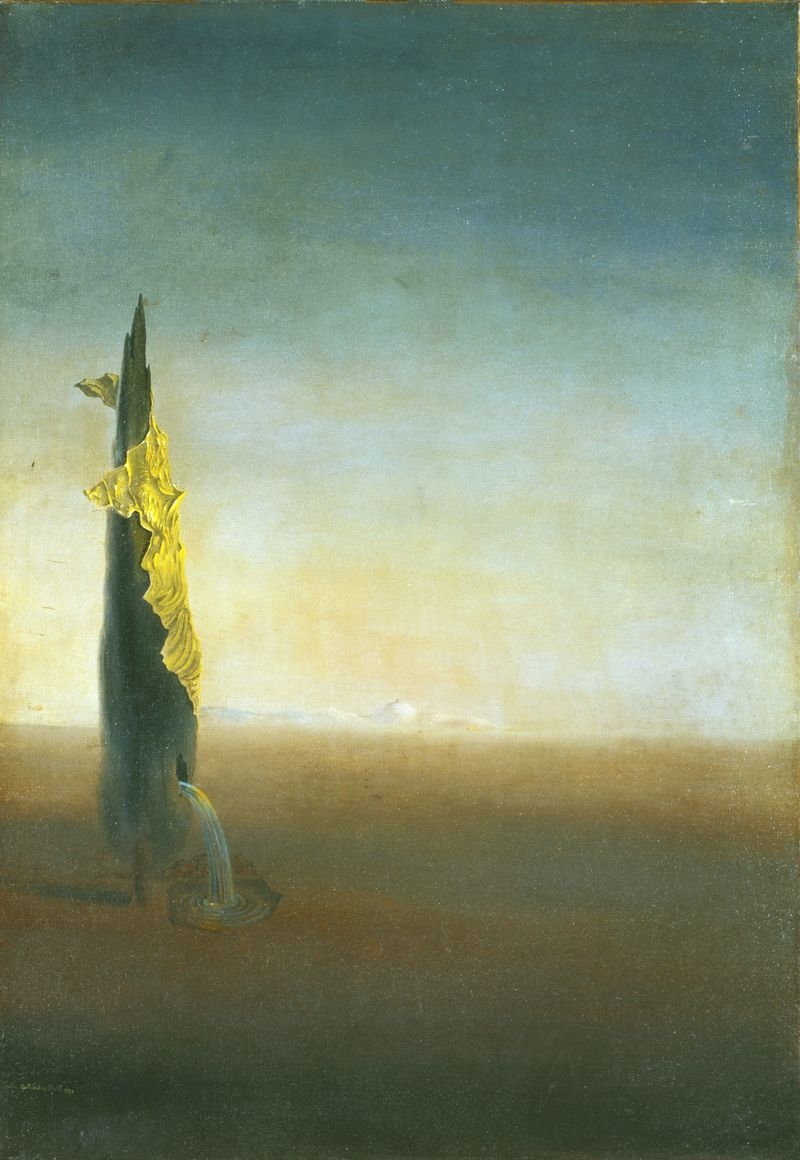 'The birth of liquid anguish' by Salvador Dalí, and others