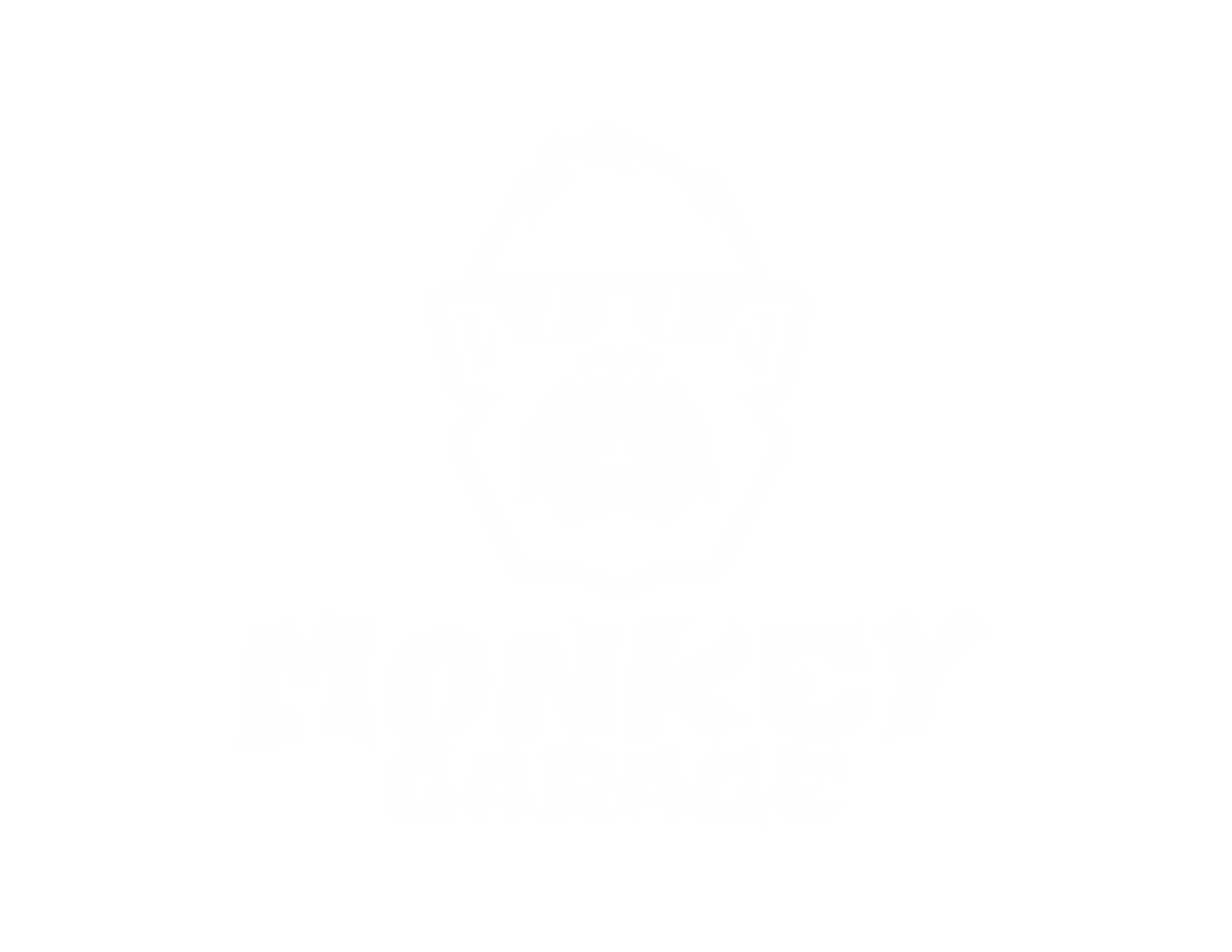 MONKEY GARAJE