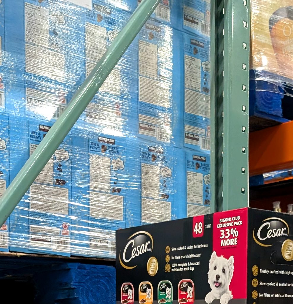 Cesar 48-count wet dog food trays for adult dogs, featuring slow-cooked nutrition and multiple flavors, available at Costco for $39.99.