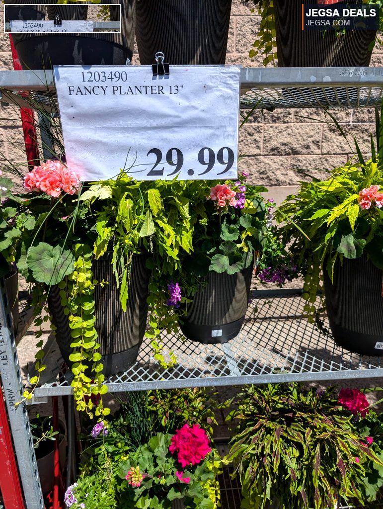 13-inch fancy planter with vibrant pink and green plants, perfect for garden or patio decor, available at Costco for $29.99.