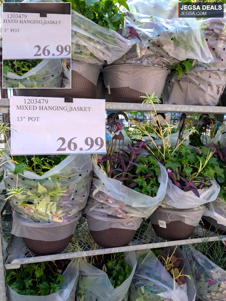 Mixed hanging basket with assorted green and purple plants in a brown pot, priced at $26.99 at a retail store.