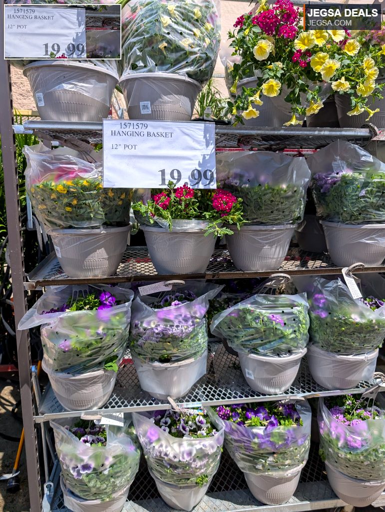 Colorful yellow and pink petunia hanging basket from Costco, 12-inch, priced at $19.99, ready for outdoor display.