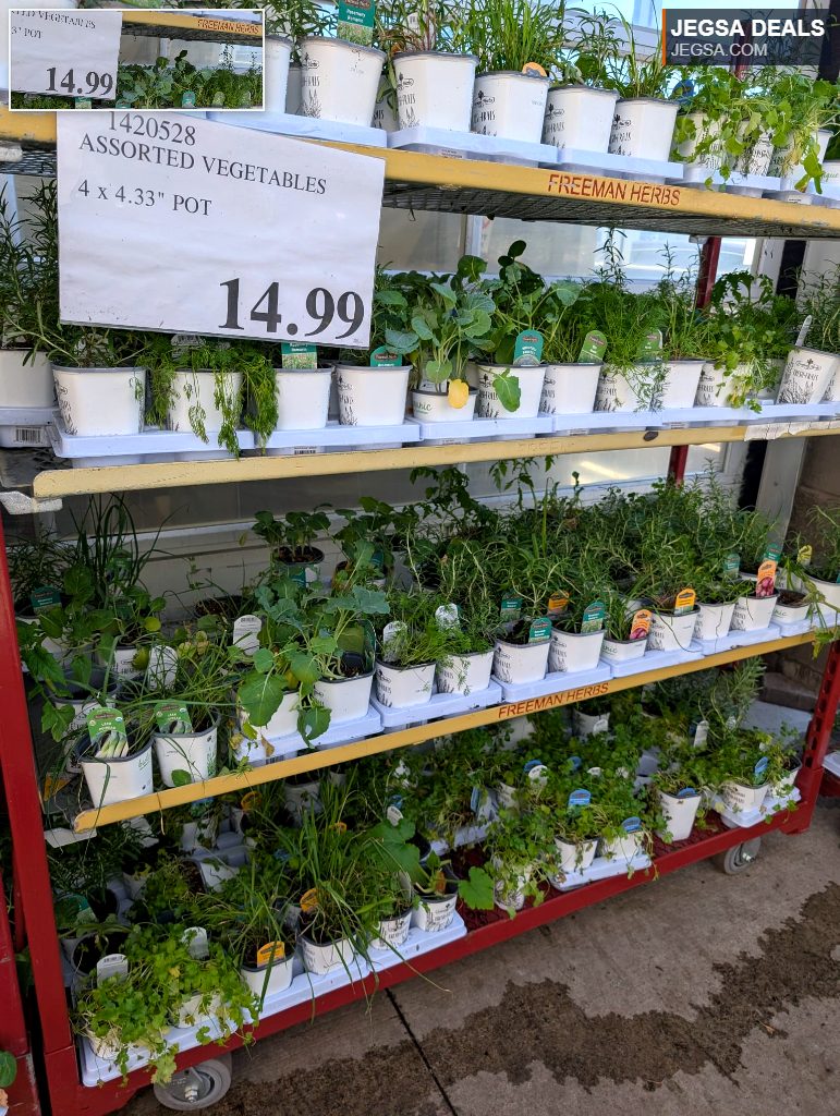 Assorted potted vegetables and herbs in 4.33-inch pots from Costco, priced at $14.99.