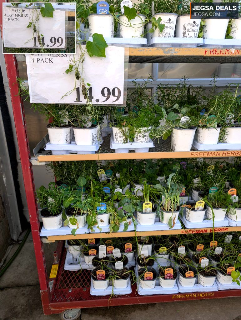 Four-pack of 4.33-inch potted Freeman herbs, including various culinary and garden varieties, priced at $14.99 from Costco.