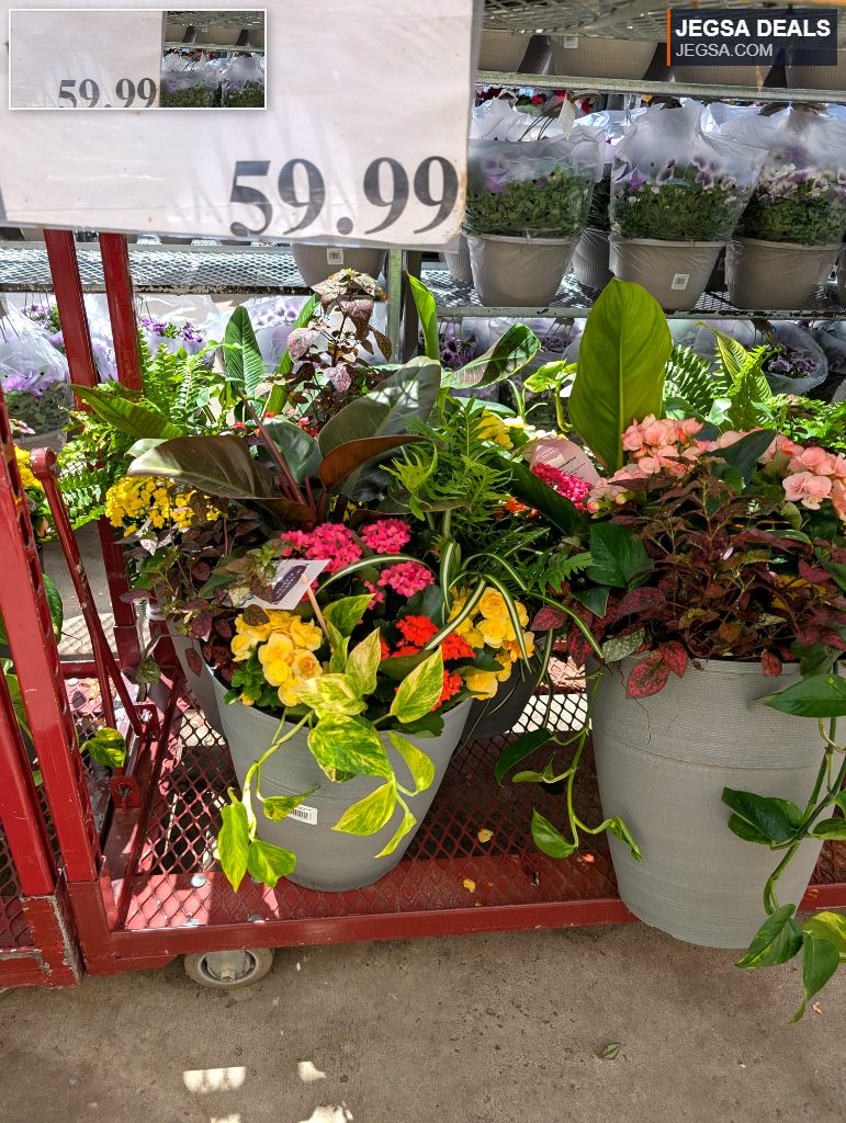 Large 14-inch mixed container planter with colorful annuals and foliage plants in a grey pot from Walmart, $59.99.