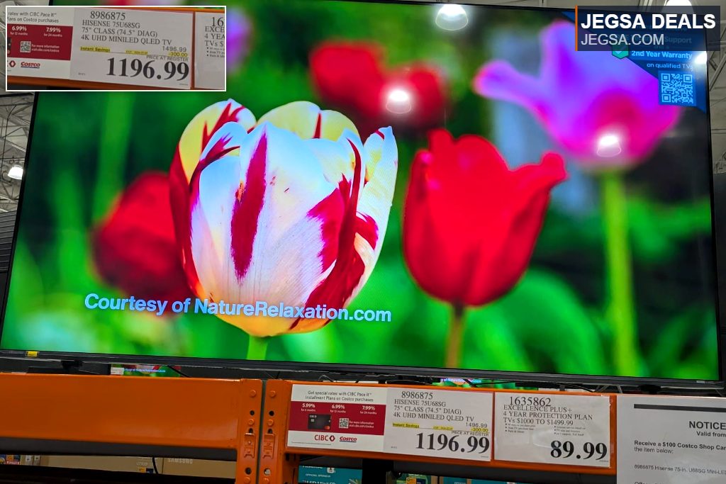 Hisense 75U68SG 75-inch 4K UHD Mini-LED QLED TV from Costco, offering vibrant visuals.