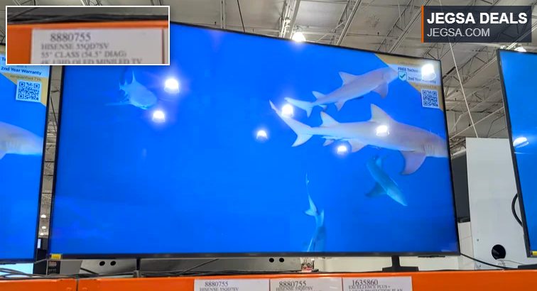 Hisense 55-inch 4K UHD QLED MiniLED TV displaying sharks in blue water, available at Costco for $496.99.