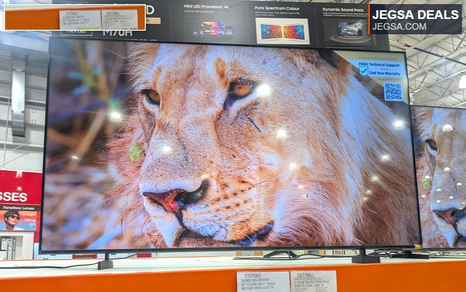 Samsung 65-inch Mini LED 4K UHD TV M70H from Costco, priced at $894.99, featuring a vibrant lion display.