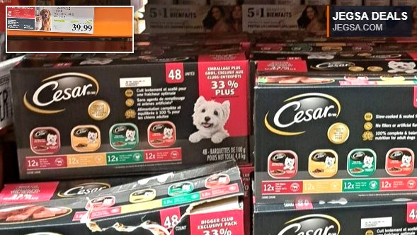 Cesar wet dog food 48-pack of 100g trays for adult dogs from Costco, on sale for $39.99.