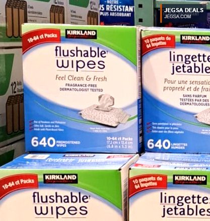 Kirkland Signature Flushable Wipes 10-pack (640 count) from Costco for personal hygiene. Fragrance-free.