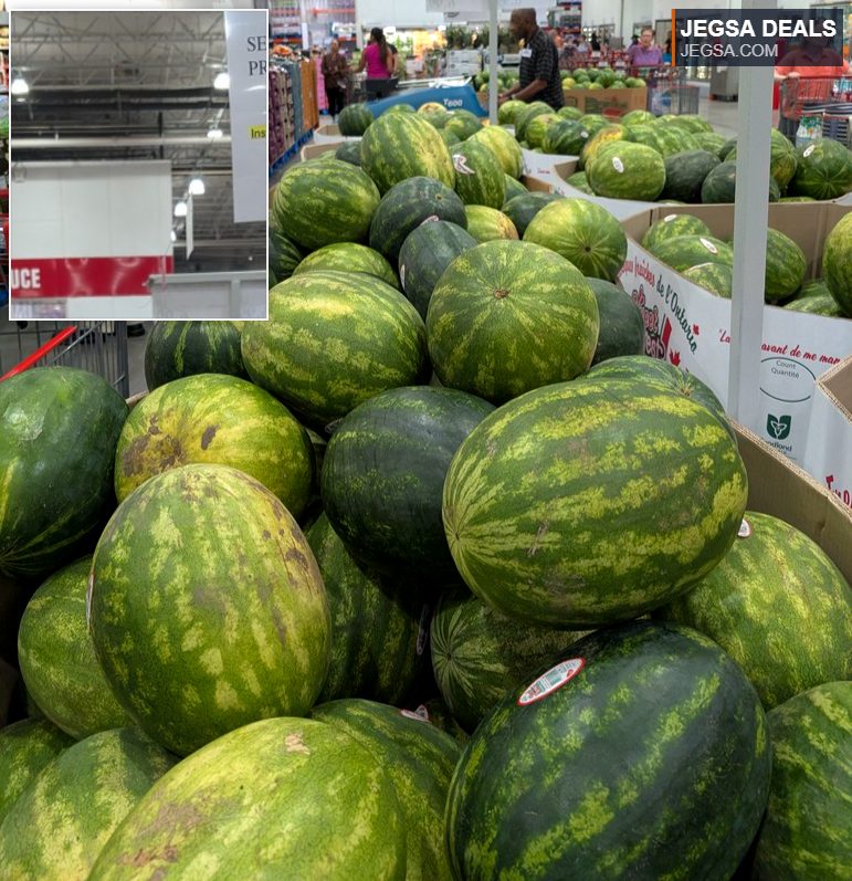 Fresh green striped seedless watermelons from Costco, priced at $6.99 with instant savings.